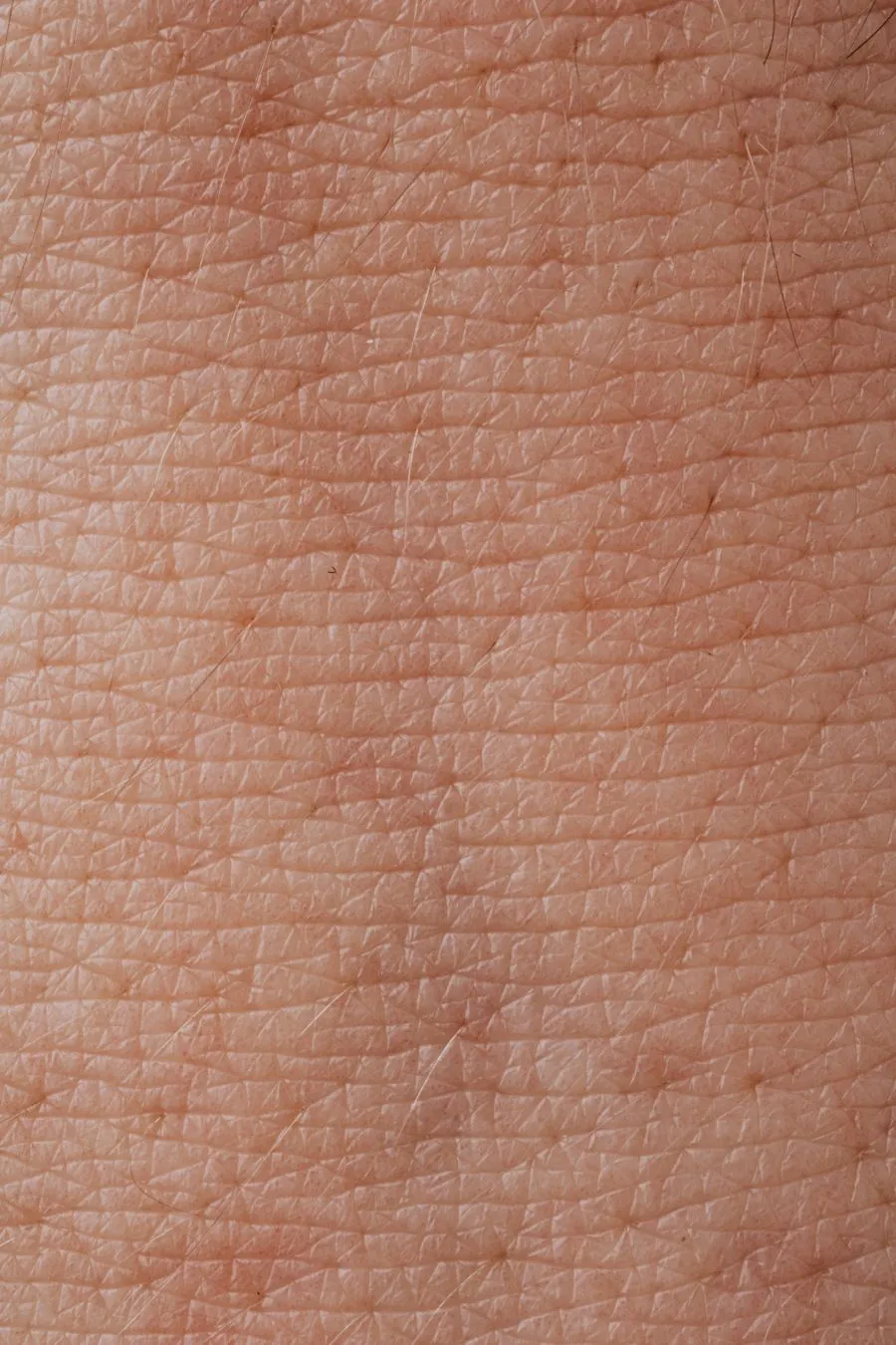 Close-up of skin texture
